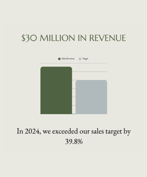 Graphic showing Jouneys With Purpose's 2024 revenue vs target ifrom their Impact Report