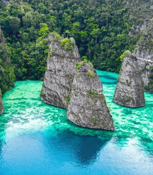 Raja Ampat safari in Indonesia