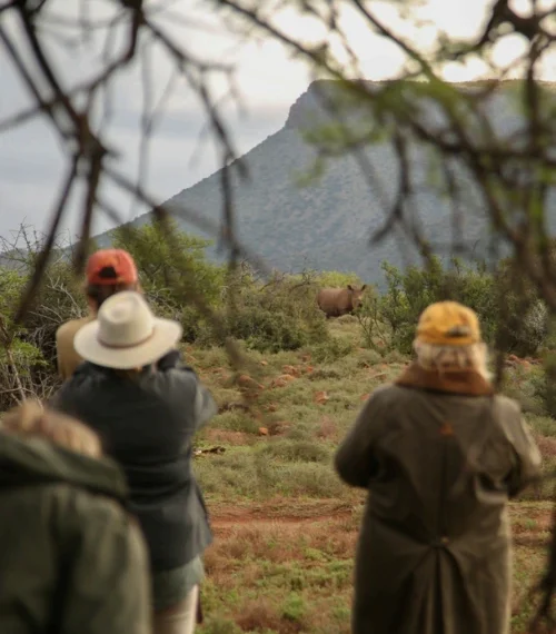 Group of people looking at a rhino