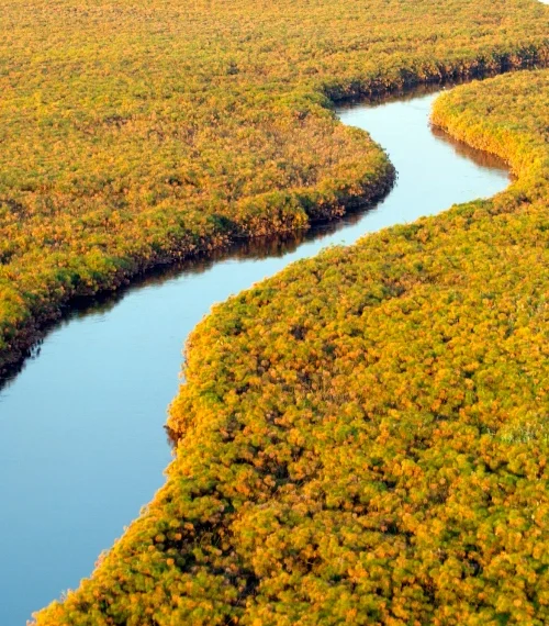 best walking safaris in africa