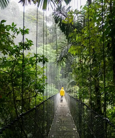 Adventure on a jungle bridge in costa rica_converted