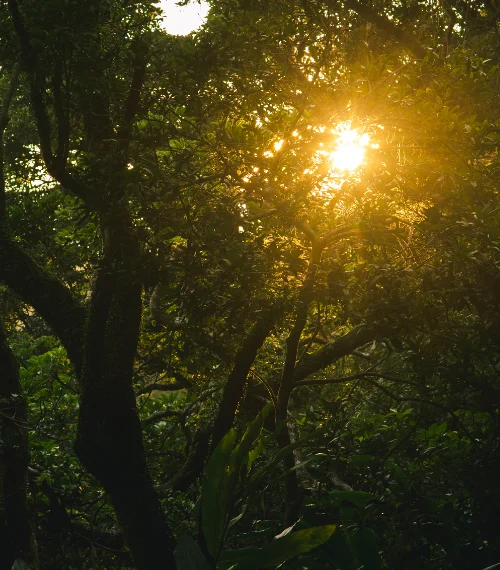 community conservation in Africa