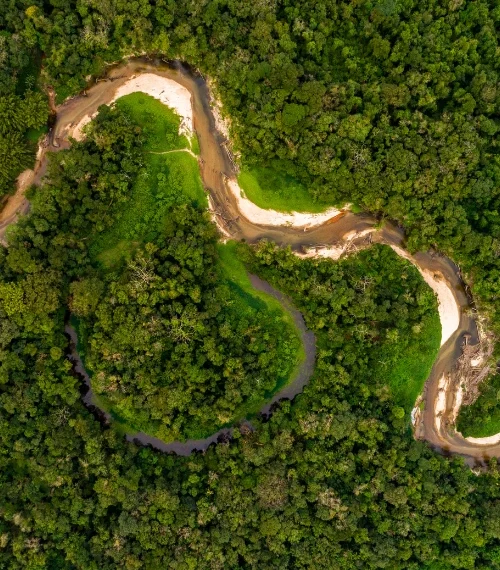 Amazon rainforest river from above