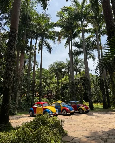 Bugs and brizal culture