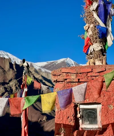 Camp in mountains_converted