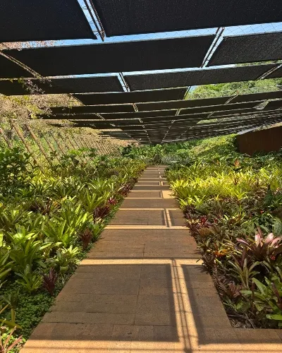 Conservation field project_converted