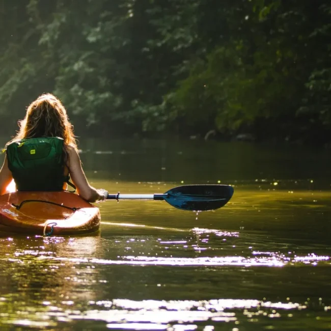 Costa Rica from the Ground Up: Notes from the Field