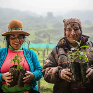 Day 5 - Sol y Luna Foundation_converted