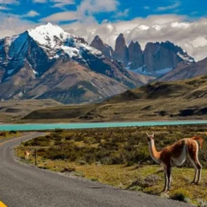Day 6 - Torres del Paine National Park_converted