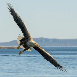 Day 8 Norway’s wild coastal landscapes_converted