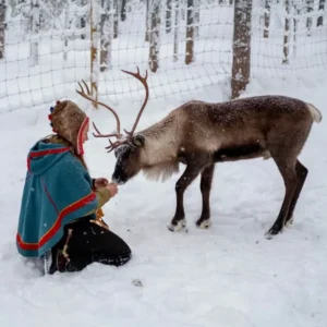 Day 9 sustainable reindeer herding practices_converted