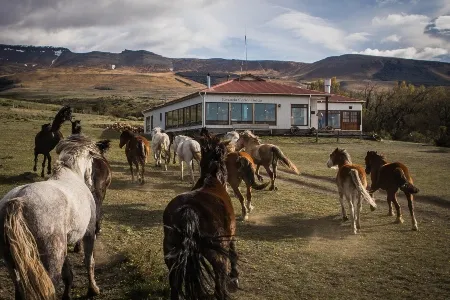 Estancia Cerro Guido stables_converted