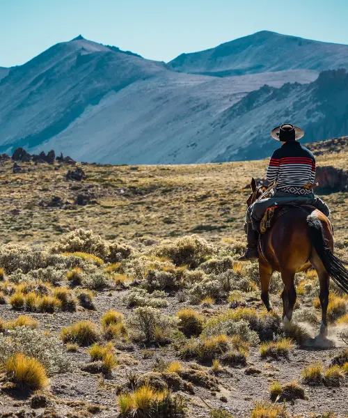 Safari on horseback in Argentina