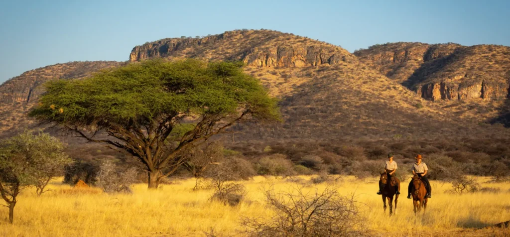 Safari on horseback