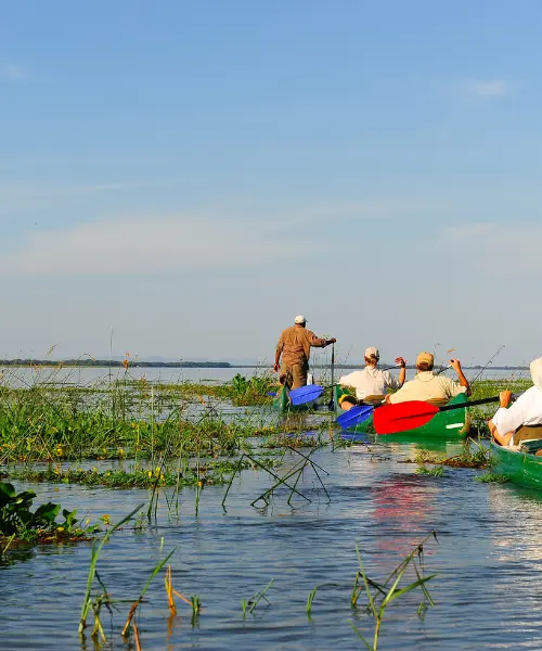 Canoe safari on the Zambezi River