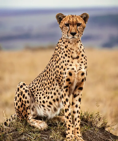 adventure travel for families