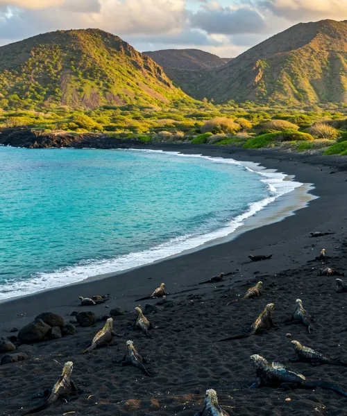 adventure travel for families