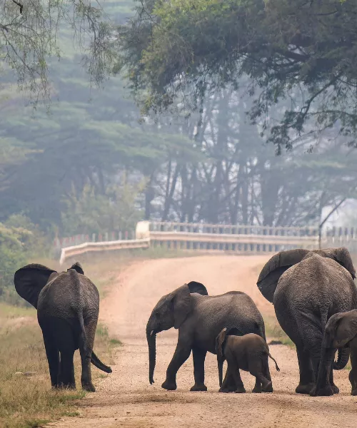 community conservation in Africa