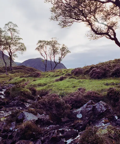 best lodges to stay in scotland