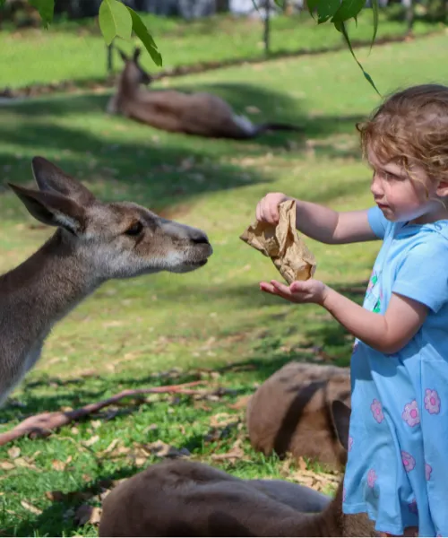 adventure travel for families