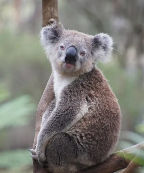 adventure travel for families