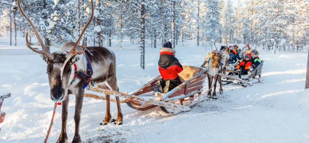 adventure travel for families