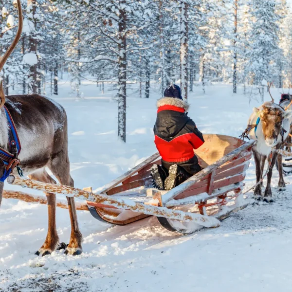 adventure travel for families