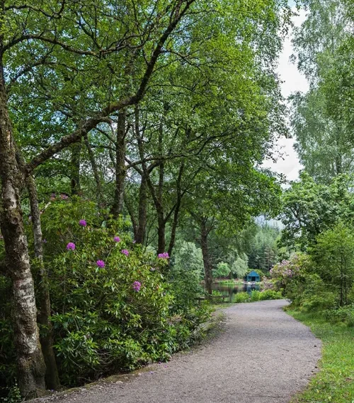 best lodges to stay in scotland