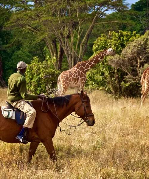 Horseback safari in Kenya