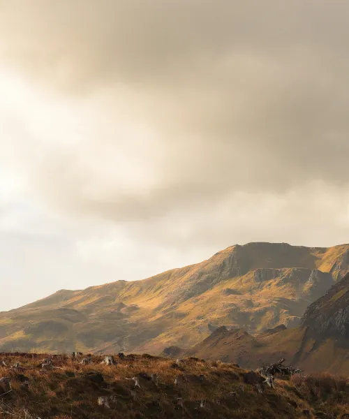 best lodges to stay in scotland