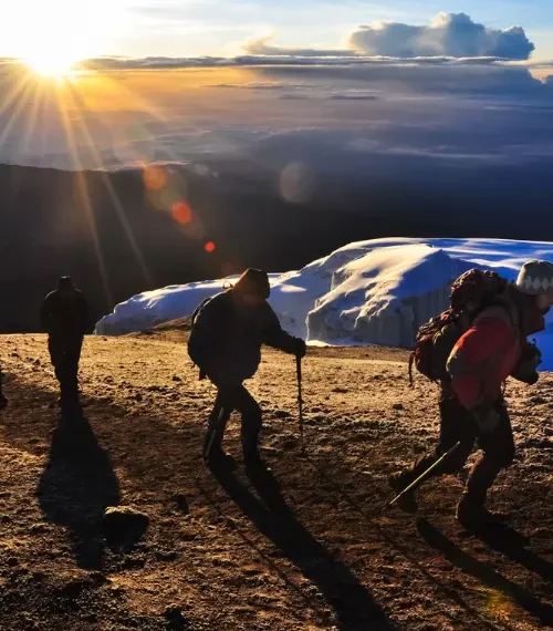 hikers climbing mount kilimanjaro