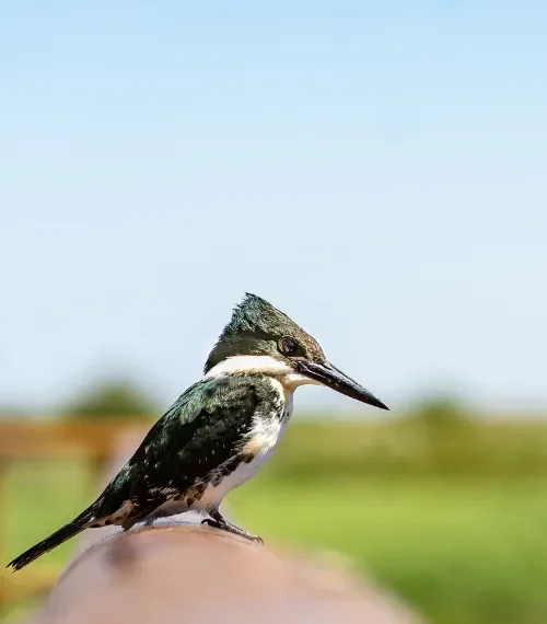 importance of national parks