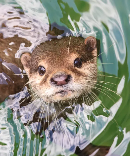 importance of national parks