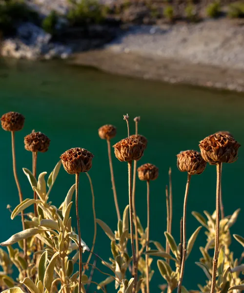 importance of national parks