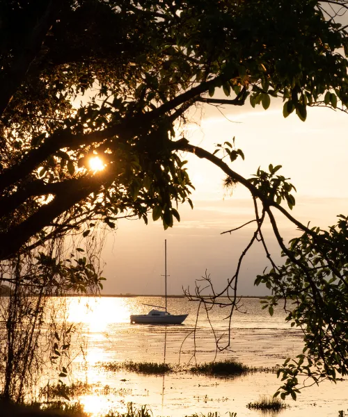 importance of national parks