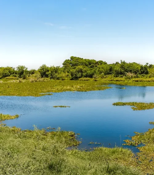 importance of national parks