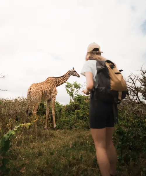 Woman on a vehicle free safari