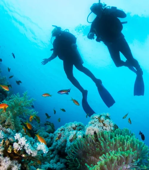 yacht charter mozambique