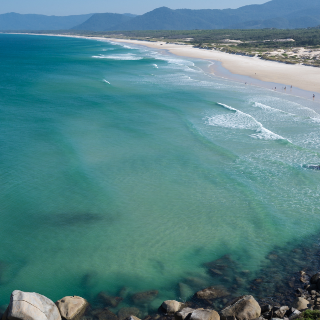 Coastline of Mozambique, a perfect diving spot