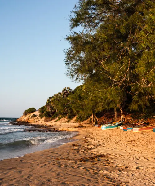 Tofo beach in Mozambique