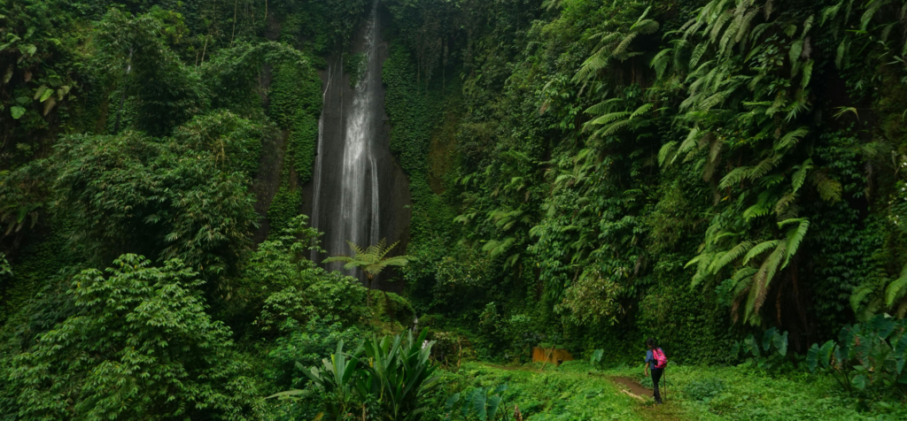 Woman hiking next to a waterfall