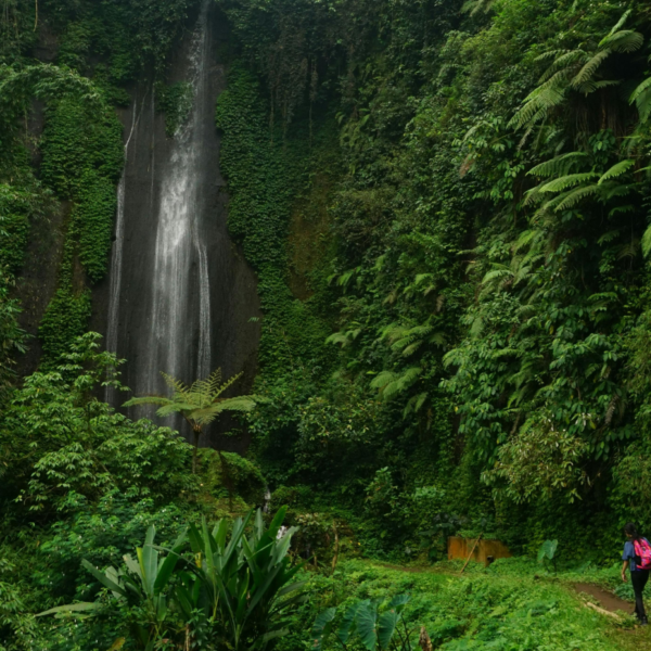 Woman hiking next to a waterfall
