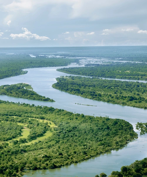 zambezi river