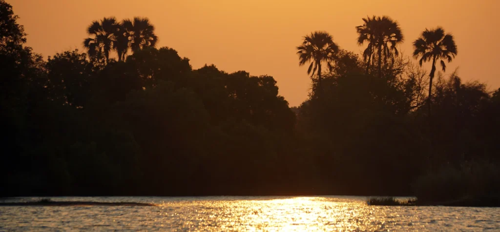 zambezi river