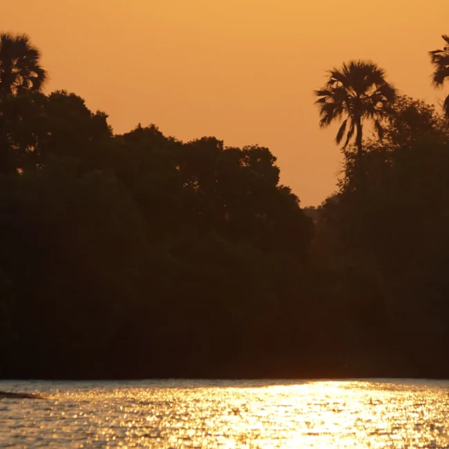 zambezi river