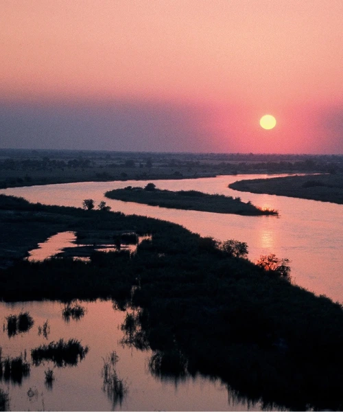 zambezi river