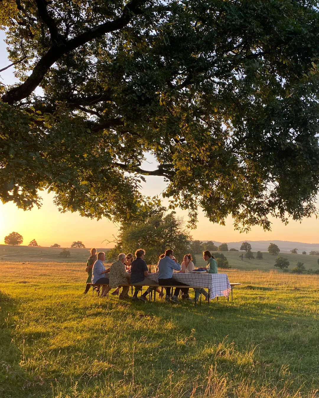 JWP Carpathia Hosted Journey