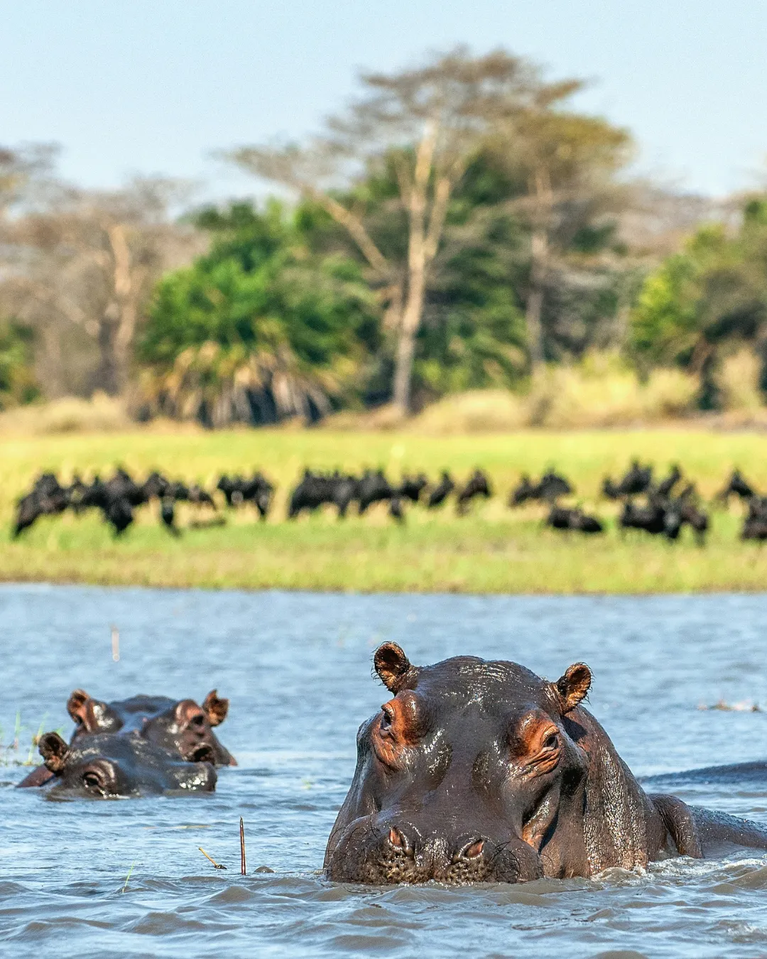Botswana Migration JWP
