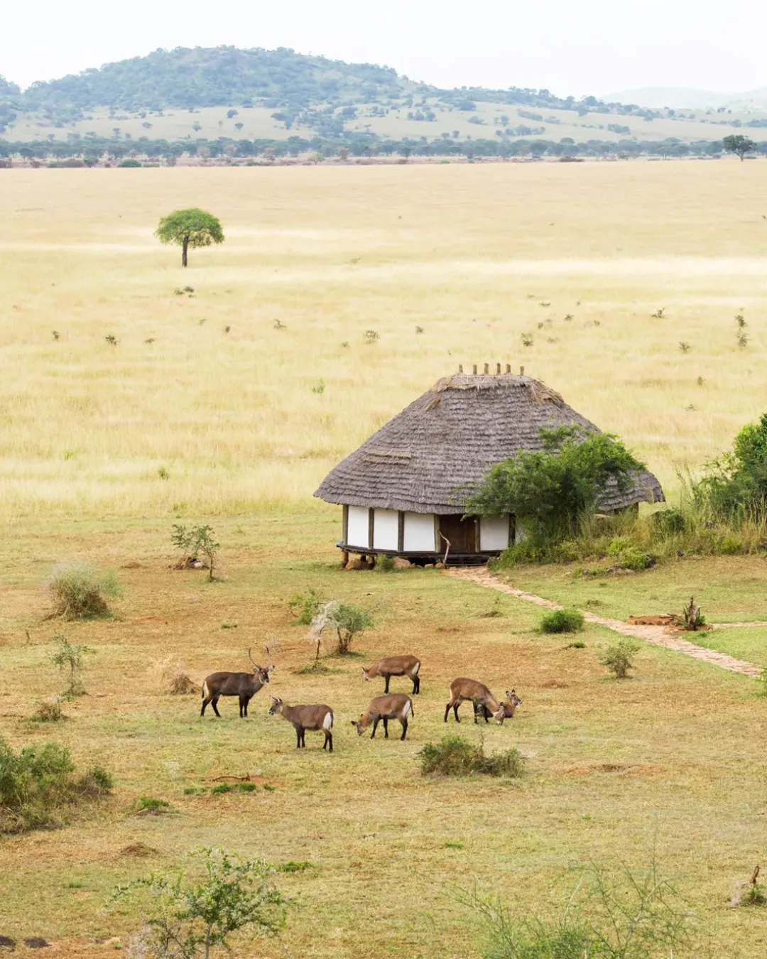 Travel to Africa with JWP