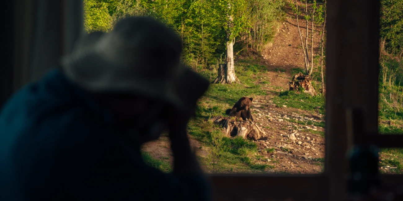 Carpathia Wildlife Watching JWP